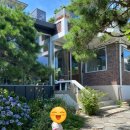 골드별장 | 안양 카페 관악별장 티라미수 맛집