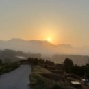 구문농장 이미지