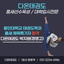 용인대 다온 태권도장 이미지