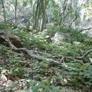 다래순대 - 원주시 현충로 231 | 다래순대