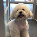 온블리살롱 이미지