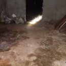 인천효성남초등학교 이미지