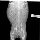 신탄진동물병원 이미지