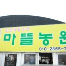 아름다운 꿩농원 | [내 돈 내산] 서울 근교 경기도 남양주 딸기체험 마뜰농원 단체 후기