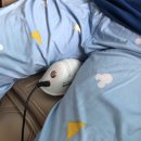 소태실천 이미지