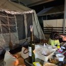 [충주/강아지캠핑] 10살 으르신의 첫 캠핑 도전 강아지전용 캠핑장 충주 ‘루파니캠핑장’ 2번 후기