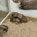 마리앤쥬(ZOO) | 부산2박3일, '마리앤쥬' 방문기(내돈내산 리얼후기)