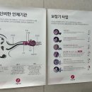 OK보청기 이미지