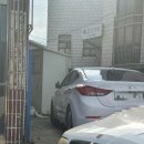 애월정의원 네이버블로그
