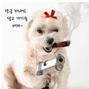 물음표 - 양산시 화합10길 9-1 | 물음표