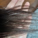루시스 크리스탈 헤어팩 사용 후기 : 손상모 머릿결 셀프 관리하기