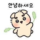 메가헬스 킹콩짐 주짓수 이미지