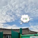 여리오자매 이미지