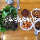 텃밭야채 이미지