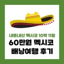 여자 둘이 멕시코 배낭여행, 내돈내산 정보 공유! 멕시코시티 및 칸쿤 치안, 숙소, 물갈이, 명소 등
