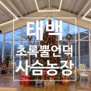 진홍농장 이미지