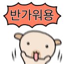 재화꽃집 네이버블로그