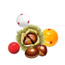 신한당구클럽 이미지