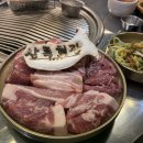 통일회관 | [세종 도담동 맛집] 상록회관 연탄구이 100g씩 골라 먹는 가성비 끝판왕 도담동 고기집 후기