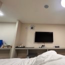 영월 더 블리스 워케이션 센터 네이버블로그