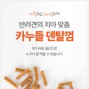 덴탈프렌즈 | 알러지 걱정 없는 그레인프리 덴탈껌! 포켄스 카누들 840g 실사용기