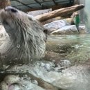 마왕족발 거창점 | 8월, 그믐