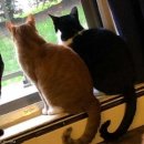 어깨동무수정 이미지