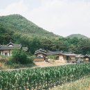 까페 가일 이미지