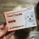 못골동물약국 | 강아지 심장사상충약 동물약국에서 간편하게!