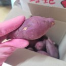 봉구농산물 | 순박한농부들 꿀고구마 정말맛있었어요 [봉구님 후기]
