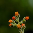 우혁농장 이미지