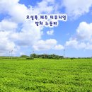 셰프뮤지엄 | 제주 여행 추천 코스 오설록 제주 티뮤지엄 말차 누들바 말차 국수 후기 (feat. 김도윤 셰프)