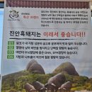 장수흙돼지 이미지