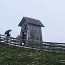 알프스여행사 - 해운대구 센텀중앙로 97 | 알프스여행사