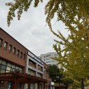 부경대학교 나비센터 네이버블로그