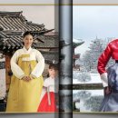 靑龍의 비상 이미지