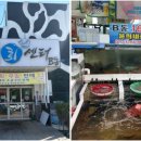 윤희네반찬 | ✨부안맛집 격포어촌계회센터 B동 16호 광어회 매운탕 윤희네집 후기 ✨