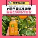 청봉 농장 이미지