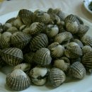 홍도회관 이미지