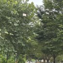 농월정 | 함양 캐빈하우스 독채형 복층 사이트까지 싹 다 찍어온 농월정 캠핑장 후기