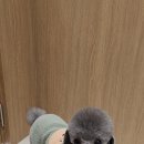 멍데이즈 이미지