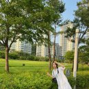 상대로(유성-97) 이미지