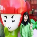 프로방스쌈지