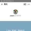 카카오스토리 외국인 친구신청 이미지