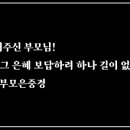 슬기로운 지혜 생활 [효에 관한 명언] 이미지