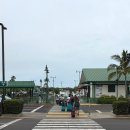 무지개주유소 | 마우이 렌트카 머스탱 허츠 예약 후기 할인 꿀팁 (ft. 위치, 비용, 주유, 캐리어 넣는 법)