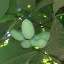 이강농장 이미지