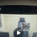 싸이버당구장 이미지