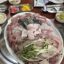 신포횟집 | 🐟 인천 신포 회식 맛집(화선횟집)