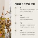 🍈 정원에 덩굴 한 줄! 키위로 꾸미는 녹색 공간